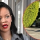 GUNFIRE TARGETS RIHANNA'S BEVERLY HILLS HOME WHILE STAR IS INSIDE 