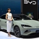 TESLA AND CHINESE COMPETITOR BYD UNITE TO OUTPACE EU PETROLEUM CARS