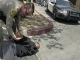 LA COUNTY SHERIFF CALLS VIDEO OF DEPUTY TACKLING WOMAN ‘DISTURBING,’ OPENS INQUIRY