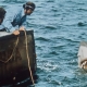 JAWS 50TH ANNIVERSARY: AN EXPLORATION OF CINEMATIC HISTORY AT THE ACADEMY MUSEUM