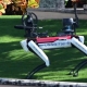 ROBOTIC DOGS ENHANCE SECURITY AROUND PRESIDENT-ELECT TRUMP'S MAR-A-LAGO RESIDENCE