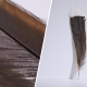 WORLD'S MOST EXPENSIVE FEATHER AUCTIONED IN NEW ZEALAND 
