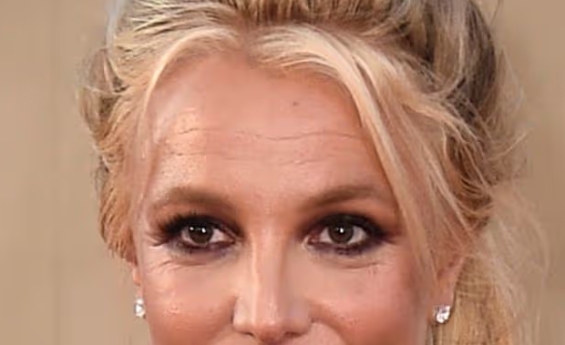 BRITNEY SPEARS FORMALLY ACCEPTS RESPONSIBILITY IN HER DRIVING UNDER THE INFLUENCE CASE, REACHING A PLEA AGREEMENT.