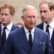 PRICE WILLIAM IS ‘PREVENTING’ HARRY AND KING CHARLES FROM RECONCILING, QUEEN CAMILLA'S FRIEND CLAIMS