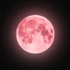THE BEAUTY OF PINK MOON